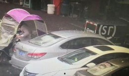 萍乡汽车爆料事件视频播放,真相与争议交织